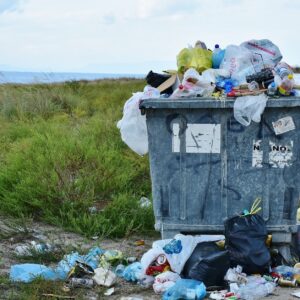 Wohin damit? Tipps zur Müllvermeidung